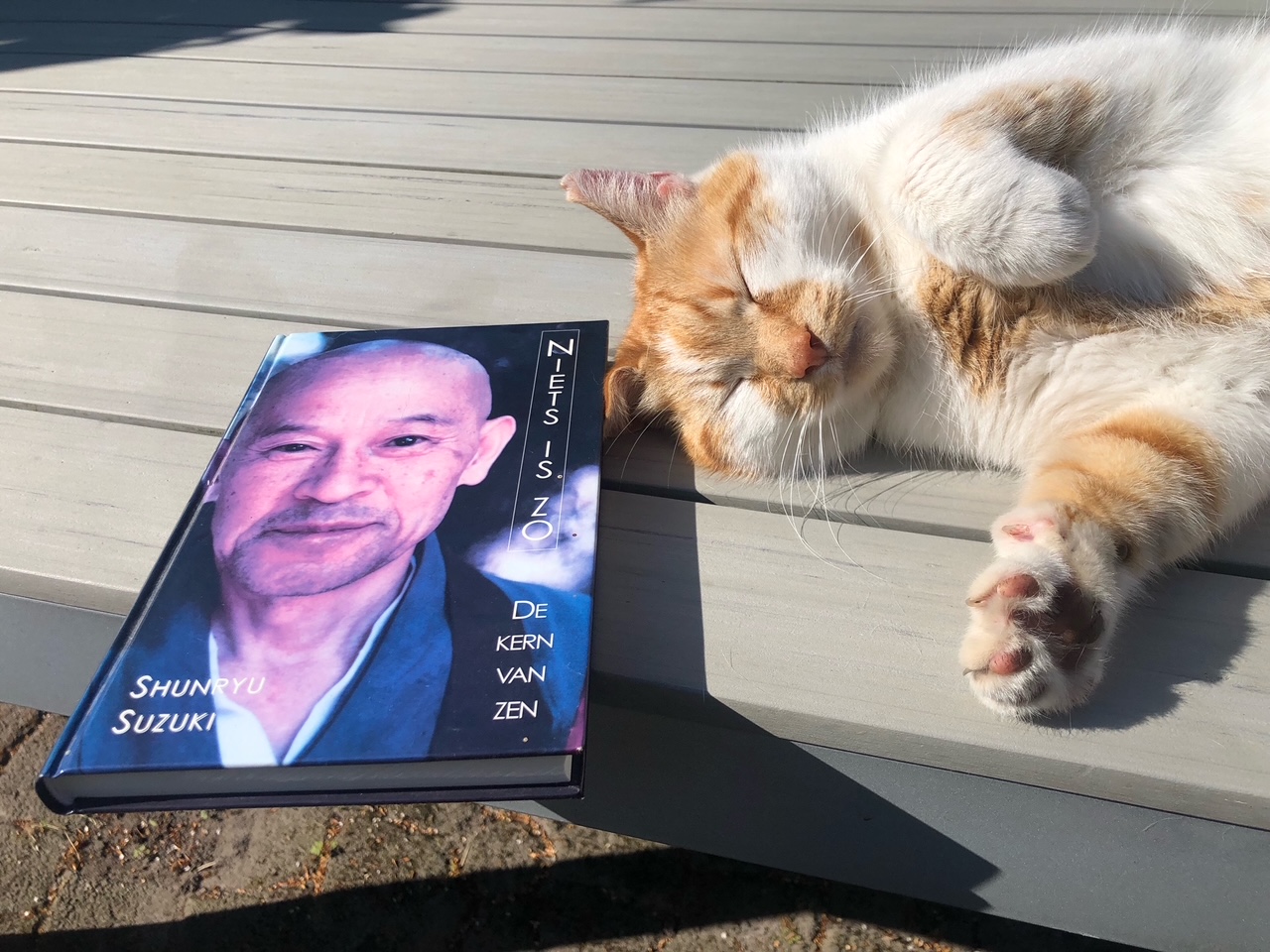 Zen.nl, Zen, meditatie, leren mediteren, foto